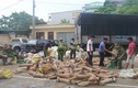 Thanh Hóa bắt giữ vụ vận chuyển ngà voi lớn nhất 